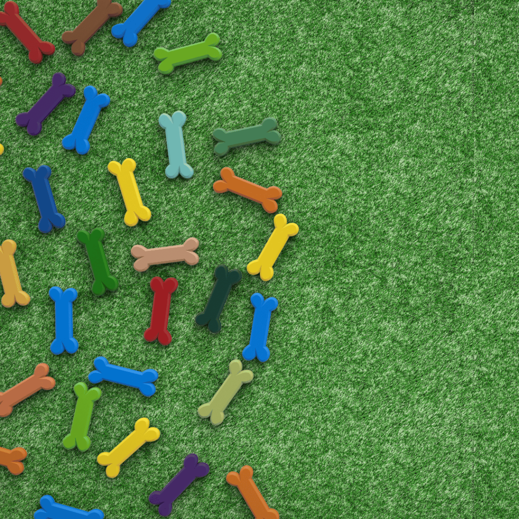 Bunte Hundeknochen liegen auf einer Wiese. Symbolbild für die Paw Patrol Kampagne von Deichmann.